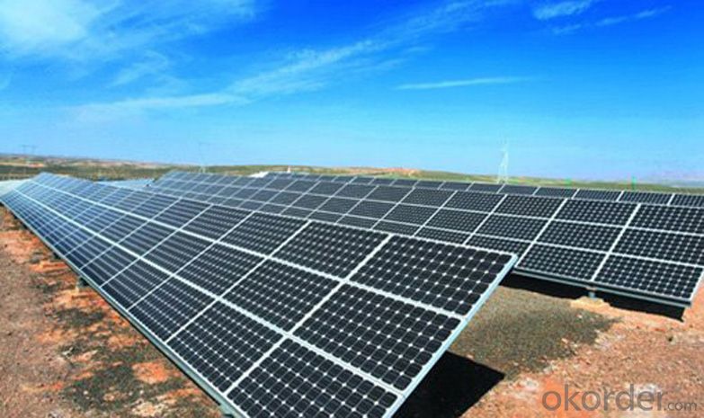 Solar Panels Solar Modules 255W Factory New Design