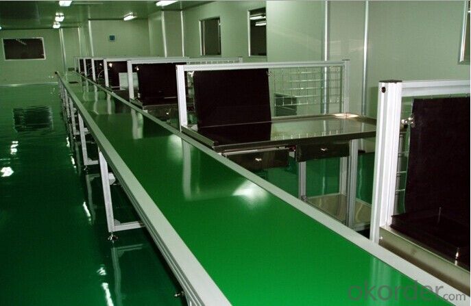 Green PVC Conveyor Belt White PU Conveyor Belting