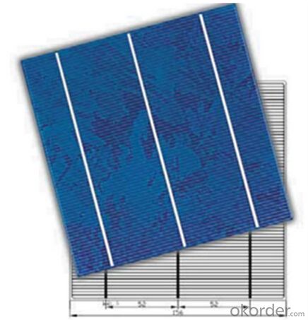 Poly Solar Cells 156X156MM2  High Efficiency Made in China