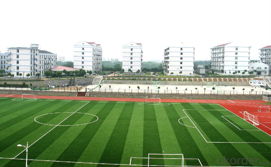 CE Factory Plastic Artificial Football Grass