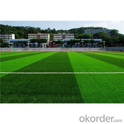 Body Friendly Best Seller Artificial Grass Turf for Baseball Courts