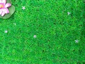 Outdoor Green Landscape Garden Artificial Grass Made in China