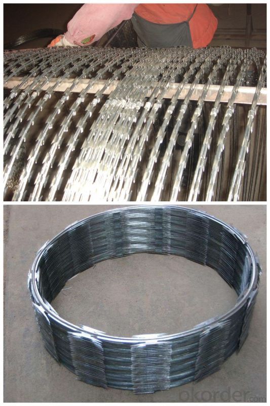 Galvanized Concertina Razor Wire for Fence with (CE and SGS)