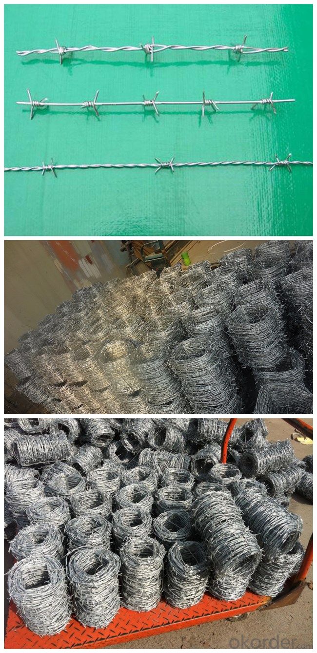 High Tensile Galvanized PVC Coated Barbed Iron Wire for Security