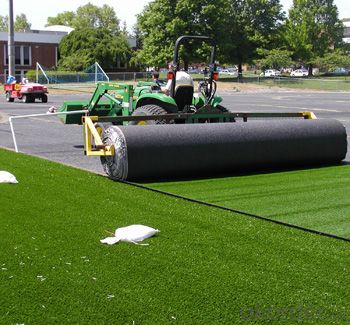 Artificial Grass in New Coming Style with Economy Long Useful Life