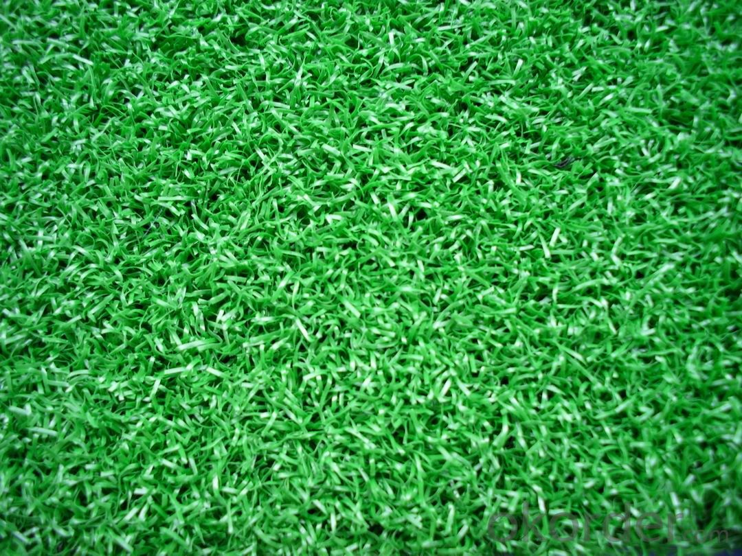Artificial Turf  Landscaping with PPPE Garden Grass