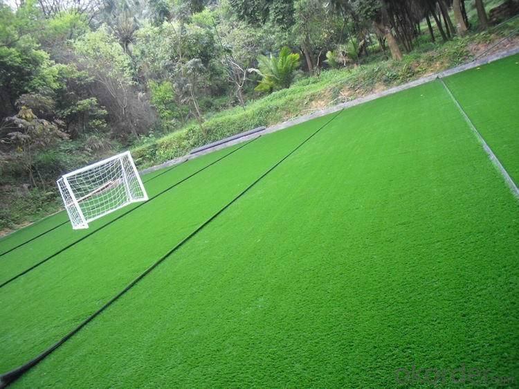 Artificial Football Turf with Cheap Price