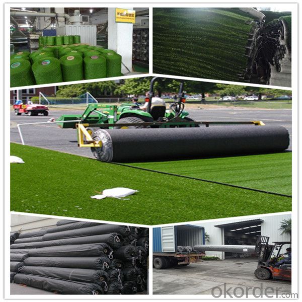 Soccer Artificial Grass Turf for Sports Coating PE