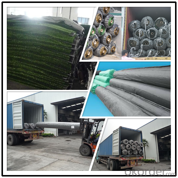 Artificial Grass for Football with PP/PE