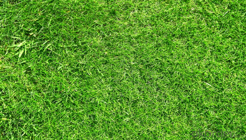 FIFA Approved Cheap Soccer Artificial Grass