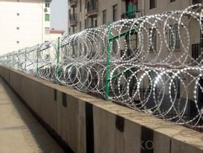 ISO Factory Razor Wire Fence/Razor Barbed Wire