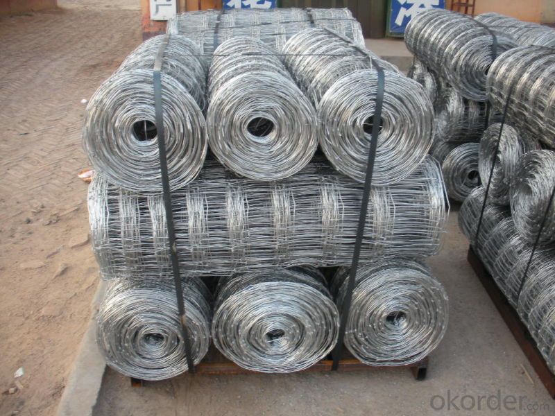 Cheap Hot Sale Hot-Dipped Galvanized Field Fence (Factory Price and ISO9001-2008)