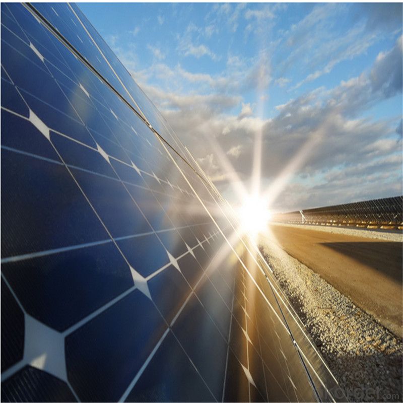 230W 72 Cell Solar Photovoltaic Module Solar Panels