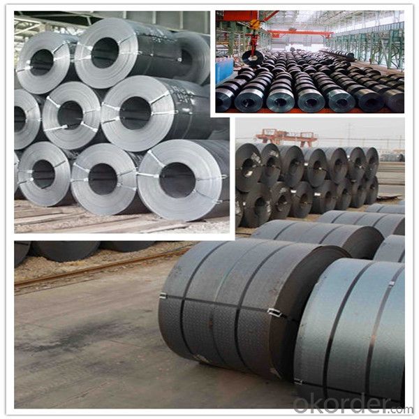 Prime Hot Rolled Steel Sheets in Coils SS400 Grade