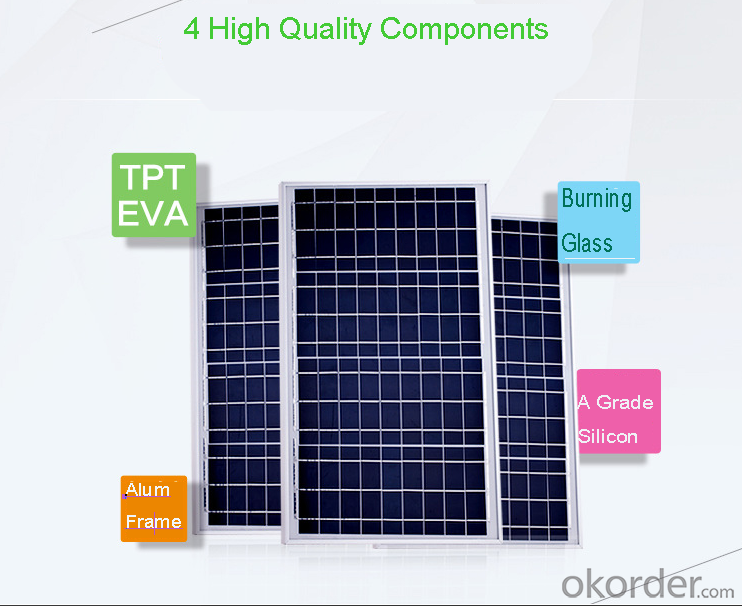 300W Poly Solar PV Modules for Large Power Plant