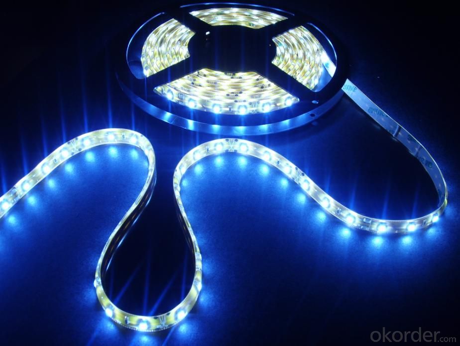 Led Strip IP65/IP68 5050 SMD Waterproof RGB  for festival Decoration