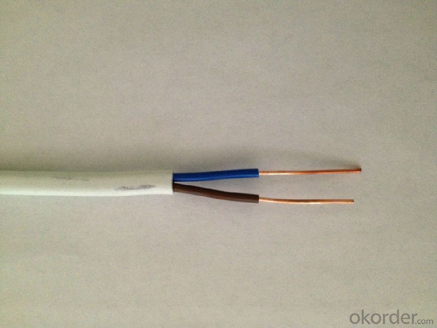 PVC Insulated Flat Cable 300 /500V & 450/750V