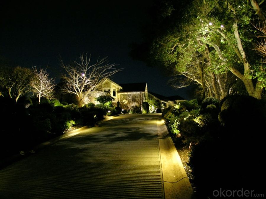 LED Lights IP65 2W Outdoor Decorative Garden for Landscape China
