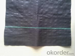 Weed Barrier Fabric for Agriculture/Woven Fabric 100g