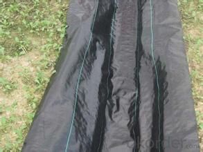 Weed Barrier Fabric for Agriculture/Woven Fabric 100g