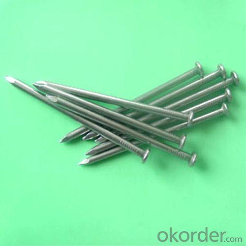 White Steel Concrete Nails Steel Nails China with Bulk and Box Package