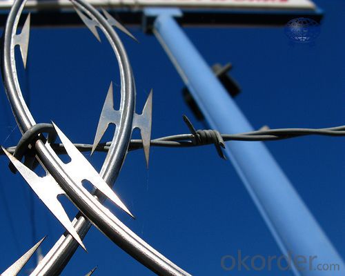 Anti-thief and Climb-proof Galvanized Razor Barbed Wire