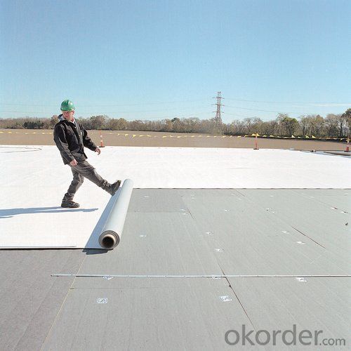 Polyvinyl Chloride (PVC) Waterproofing Membrane with UV Resistance