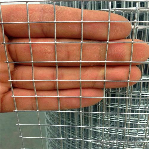 Hot Dipped Galvanized Welded Wire Mesh Used for Construction