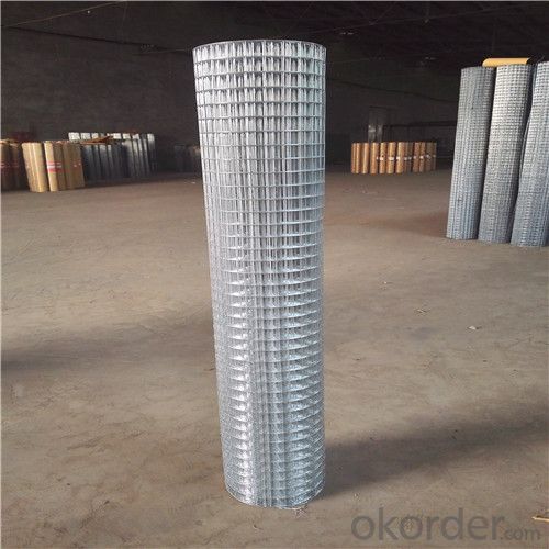 Hot Dipped Galvanized Welded Wire Mesh in Roll