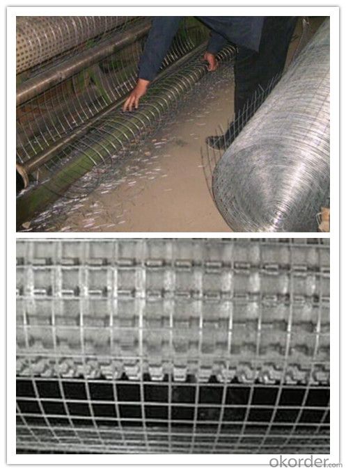 Welded Wire Mesh, Galvanized, PVC Coated, Ral Color
