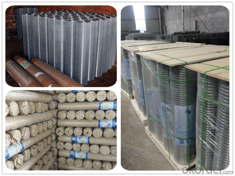 Hot DIP Galvanized /PVC Coated Welded Wire Mesh