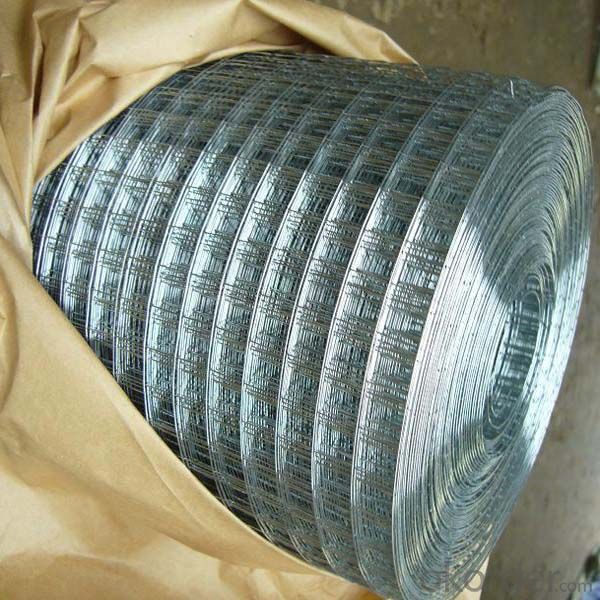 Electro Galvanized Welded Wire Mesh (TYB-0074)