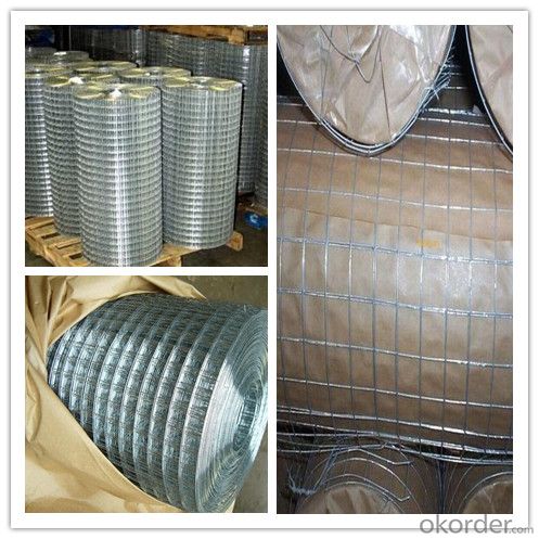 Electro-Galvanized Square Welded Wire Mesh for Construction