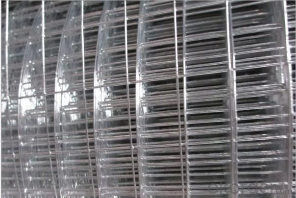 Hot Dipped Galvanized Welded Wire Mesh in Low Price