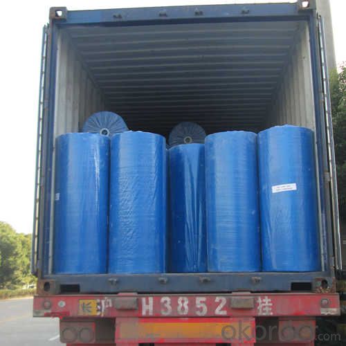 Blue Color Pet+20mic Polyester for Foam and Bubble Lamination