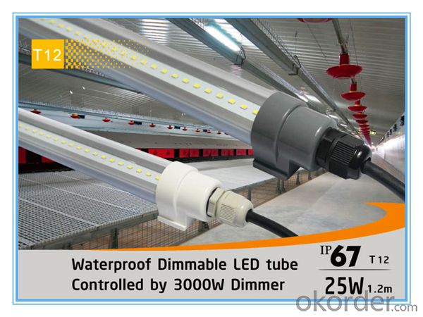 Waterproof IP67 1.2mx25W 3000W Dimmable T12 LED Tube
