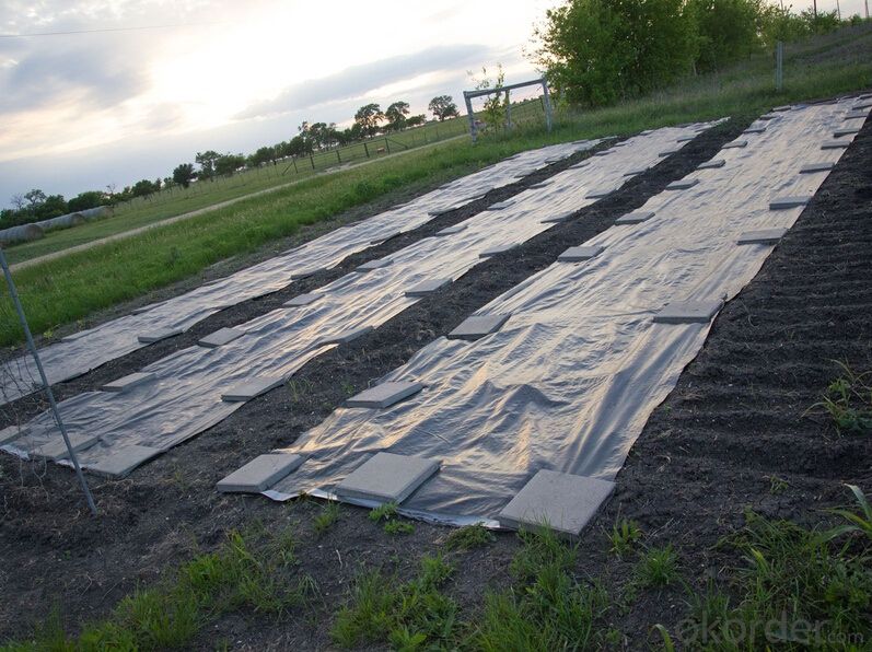 Weed Barrier Fabric/ Polypropylene Fabric with Black Color