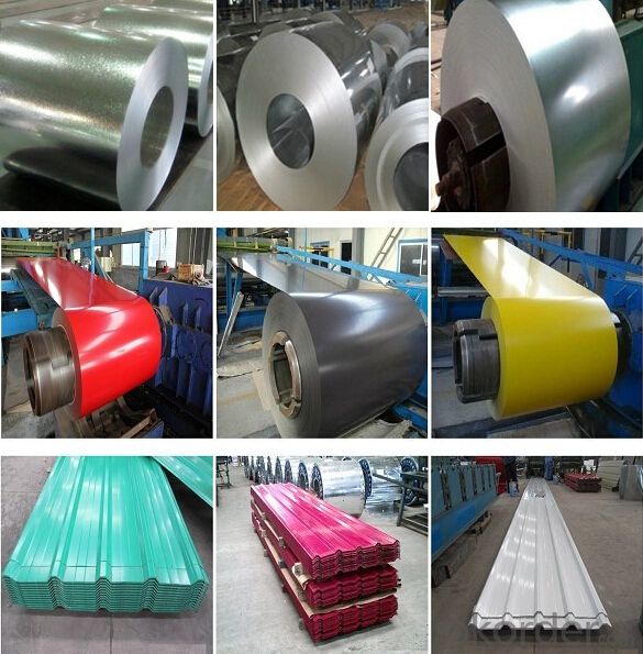 Color Coated Aluminium Coil with High Quality
