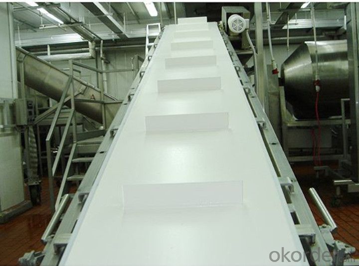 Food Processing PVC Conveyor Belt PU Conveyor Belt