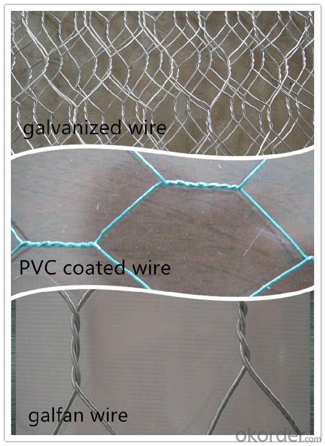 Galvanized Hexagonal Wire Mesh 25mm In High Quality