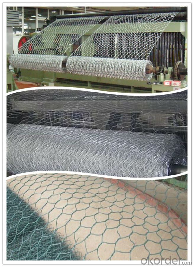 Hexagonal Wire Mesh/Chicken Wire Mesh for Platering