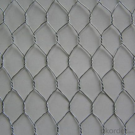 Hot Sale Low Price Galvanized Hexagonal Wire Mesh