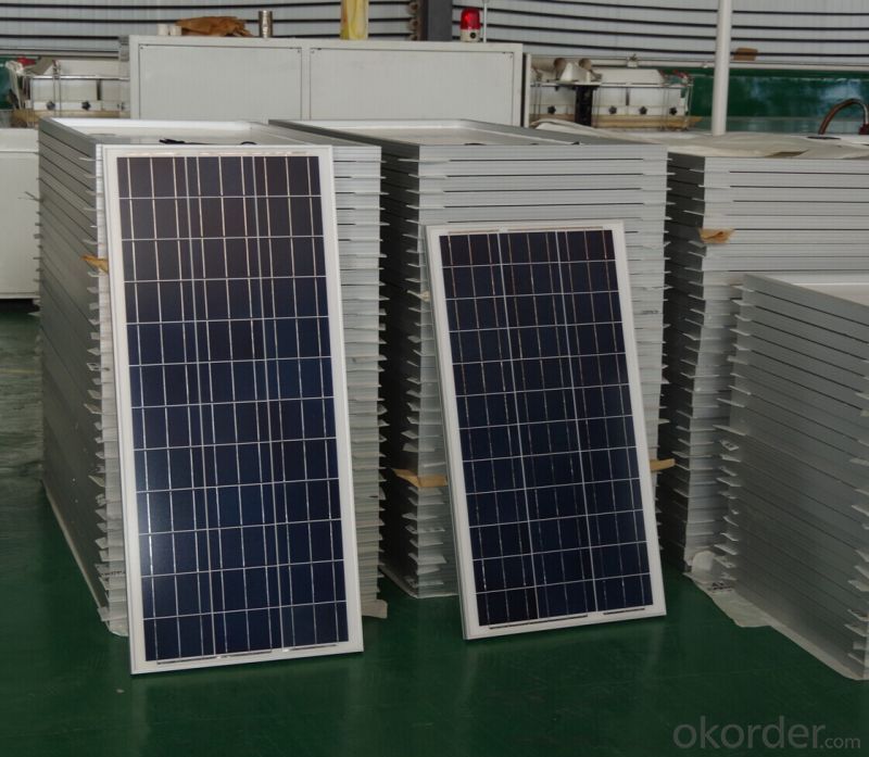 100wp Polycrystalline Solar PV Modules