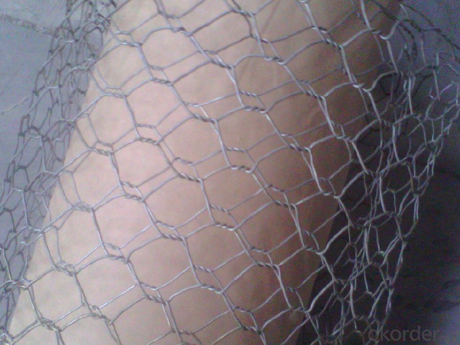 Polished Hexagonal Wire Mesh Hot Sale And Low Price