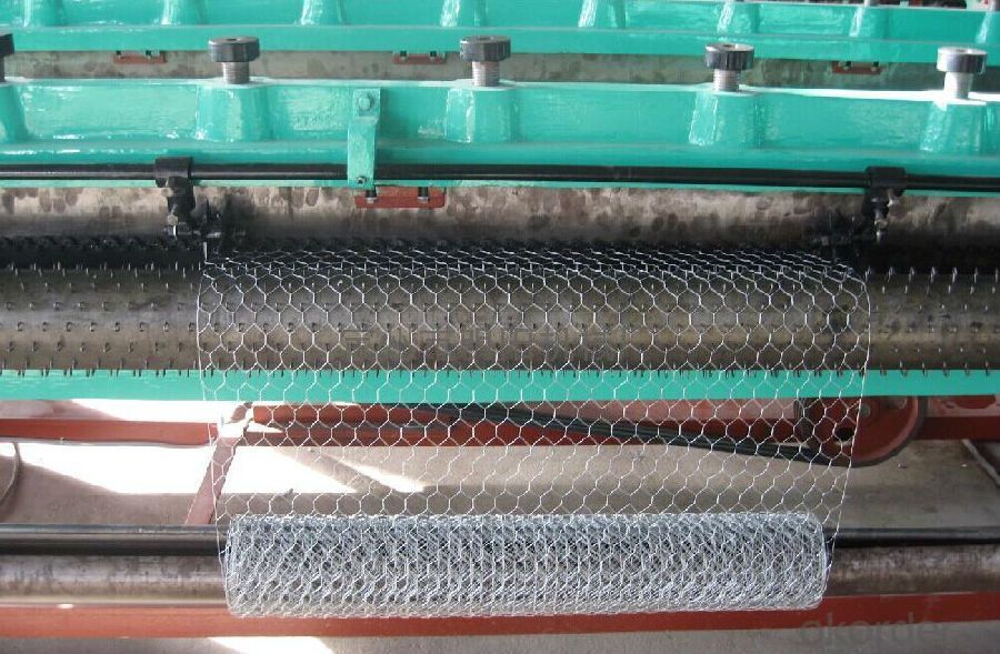 Polished Hexagonal Wire Mesh Hot Sale And Low Price