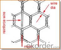 Stainless Steel/Iron/PVC Coated/Chicken Hexagonal Wire Mesh with Cheapest Price