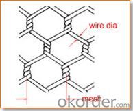 Stainless Steel/Iron/PVC Coated/Chicken Hexagonal Wire Mesh with Cheapest Price