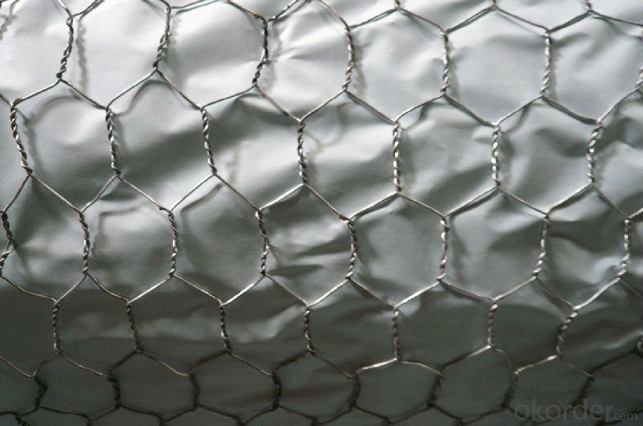 Hexagonal Wire Mesh for Window Protecting Hot Sale And Low Price