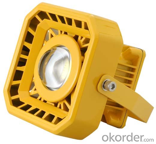 30 to 120W LED Explosion Proof Flood Light