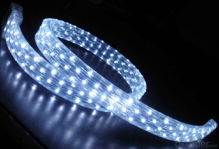 1 Roll 5M/lot 5M 60LED/m 300 LED Strip Light 5050 SMD Green Flexible Waterproof 12V led lights FFF